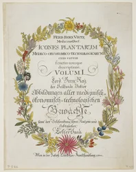 Frontispiece i strona tytułowa, tom I, z Icones Plantarum Medico-Oeconomico-Technologicarum cum Earum Fructus ususque Descriptione, 1800 (rycina ręcznie kolorowana)